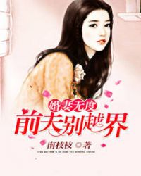 小说前妻离婚无效免费