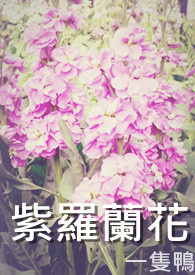 紫罗兰花有几种品种图片大全